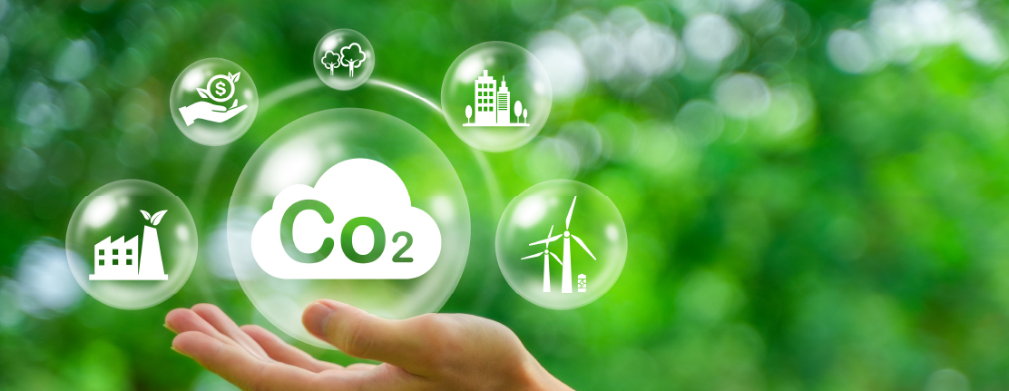 ENVIRONMENT & QUALITY